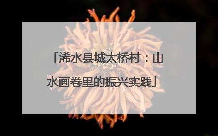 浠水县城太桥村：山水画卷里的振兴实践