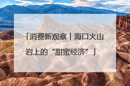 消费新观察丨海口火山岩上的“甜蜜经济”