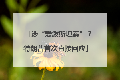 涉“爱泼斯坦案”？特朗普首次直接回应
