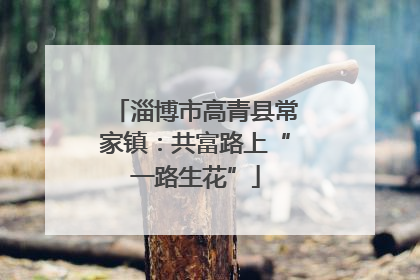 淄博市高青县常家镇：共富路上“一路生花”