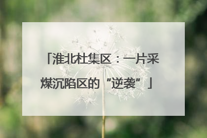 淮北杜集区：一片采煤沉陷区的“逆袭”