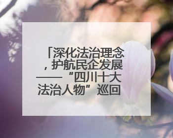 深化法治理念，护航民企发展——“四川十大法治人物”巡回宣讲走进宜宾