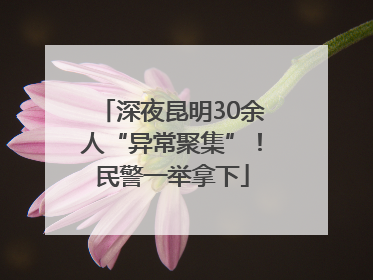 深夜昆明30余人“异常聚集”！民警一举拿下
