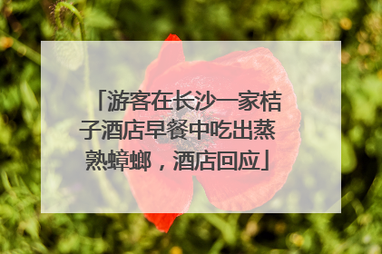 游客在长沙一家桔子酒店早餐中吃出蒸熟蟑螂，酒店回应