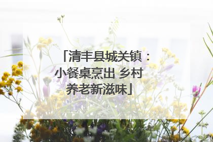 清丰县城关镇：小餐桌烹出 乡村养老新滋味