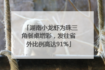 湖南小龙虾为珠三角餐桌增彩，发往省外比例高达91%