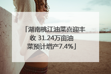 湖南桃江油菜喜迎丰收 31.24万亩油菜预计增产7.4%