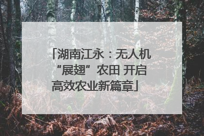 湖南江永：无人机“展翅”农田 开启高效农业新篇章