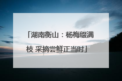湖南衡山：杨梅缀满枝 采摘尝鲜正当时