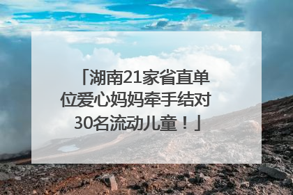 湖南21家省直单位爱心妈妈牵手结对30名流动儿童！