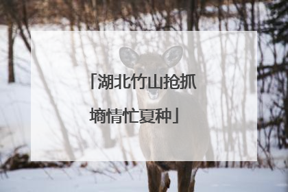 湖北竹山抢抓墒情忙夏种