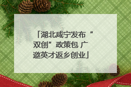 湖北咸宁发布“双创”政策包 广邀英才返乡创业