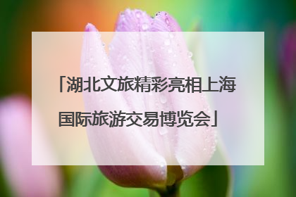 湖北文旅精彩亮相上海国际旅游交易博览会