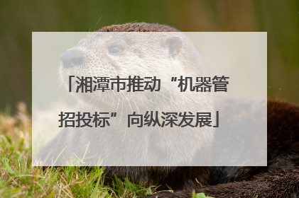 湘潭市推动“机器管招投标”向纵深发展