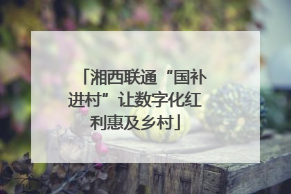 湘西联通“国补进村”让数字化红利惠及乡村