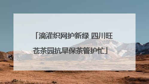 滴灌织网护新绿 四川旺苍茶园抗旱保茶管护忙