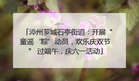 漳州芗城石亭街道：开展“童谣‘粽’动员，欢乐庆双节” 过端午，庆六一活动