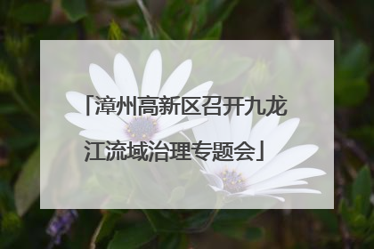 漳州高新区召开九龙江流域治理专题会
