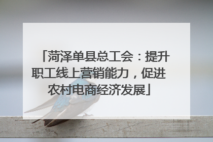 菏泽单县总工会：提升职工线上营销能力，促进农村电商经济发展