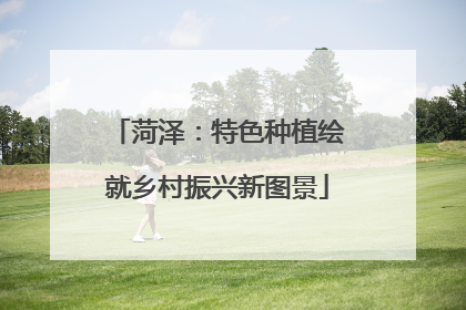 菏泽：特色种植绘就乡村振兴新图景