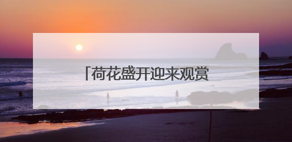 荷花盛开迎来观赏期！济南这12处赏花地你可知？