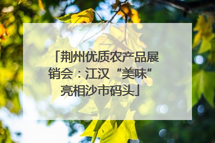 荆州优质农产品展销会：江汉“美味”亮相沙市码头