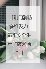 荆门消防多维发力 筑牢安全生产“防火墙”