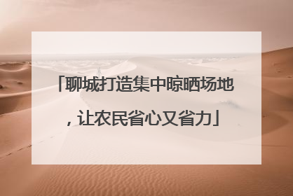 聊城打造集中晾晒场地，让农民省心又省力