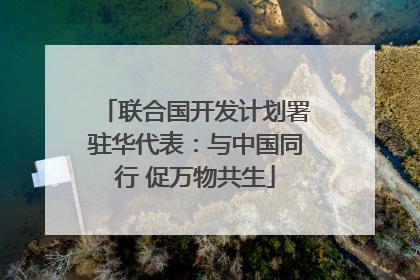 联合国开发计划署驻华代表：与中国同行 促万物共生