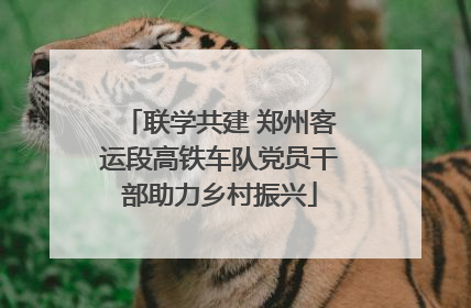联学共建 郑州客运段高铁车队党员干部助力乡村振兴