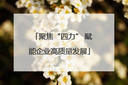 聚焦“四力” 赋能企业高质量发展