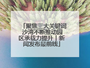 聚焦三大关键词 沙湾不断推动园区承载力提升丨新闻发布最前线