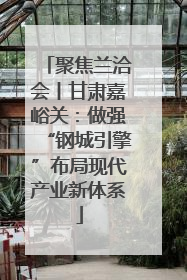 聚焦兰洽会丨甘肃嘉峪关：做强“钢城引擎”布局现代产业新体系