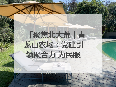 聚焦北大荒｜青龙山农场：党建引领聚合力 为民服务践初心