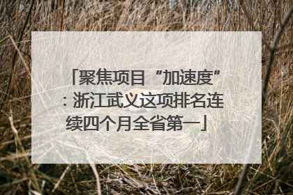 聚焦项目“加速度”：浙江武义这项排名连续四个月全省第一