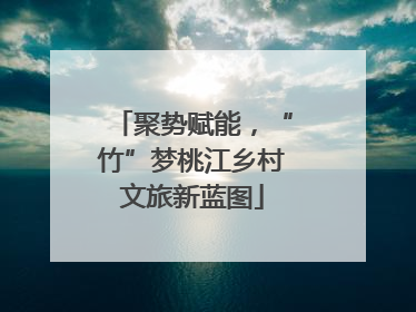 聚势赋能，“竹”梦桃江乡村文旅新蓝图