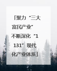聚力“三大富民产业” 不断深化“1131”现代化产业体系