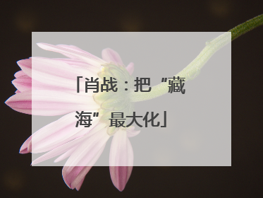 肖战：把“藏海”最大化