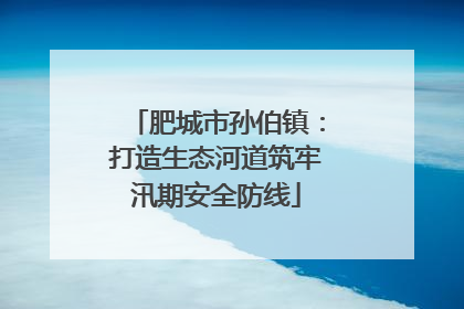 肥城市孙伯镇：打造生态河道筑牢汛期安全防线