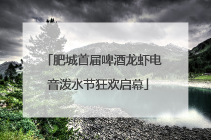 肥城首届啤酒龙虾电音泼水节狂欢启幕