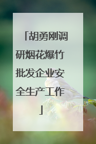 胡勇刚调研烟花爆竹批发企业安全生产工作