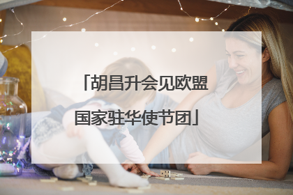 胡昌升会见欧盟国家驻华使节团