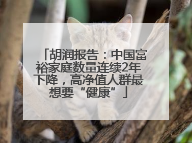 胡润报告：中国富裕家庭数量连续2年下降，高净值人群最想要“健康”