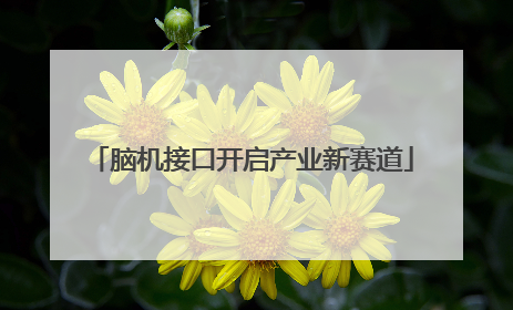 脑机接口开启产业新赛道