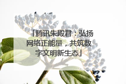 腾讯朱殿君：弘扬网络正能量，共筑数字文明新生态
