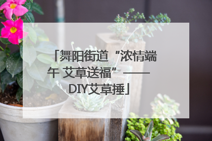 舞阳街道“浓情端午 艾草送福”——DIY艾草捶