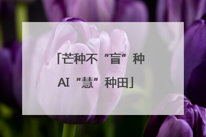 芒种不“盲”种 AI“慧”种田