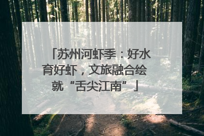 苏州河虾季：好水育好虾，文旅融合绘就“舌尖江南”