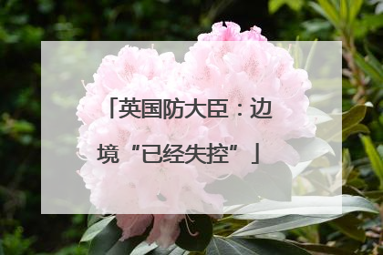 英国防大臣：边境“已经失控”