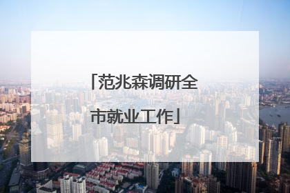 范兆森调研全市就业工作